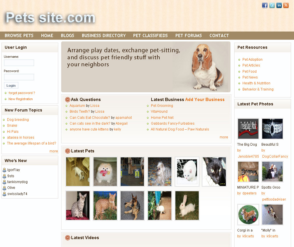 Pets Theme