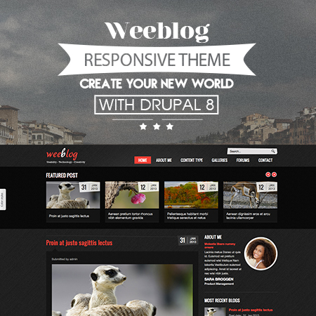 Personal Blog Theme