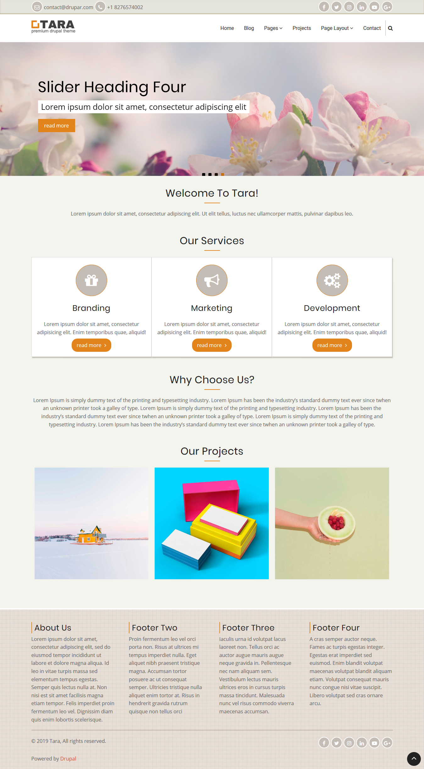 Tara - Modern Drupal 8, 9, 10, 11 Theme