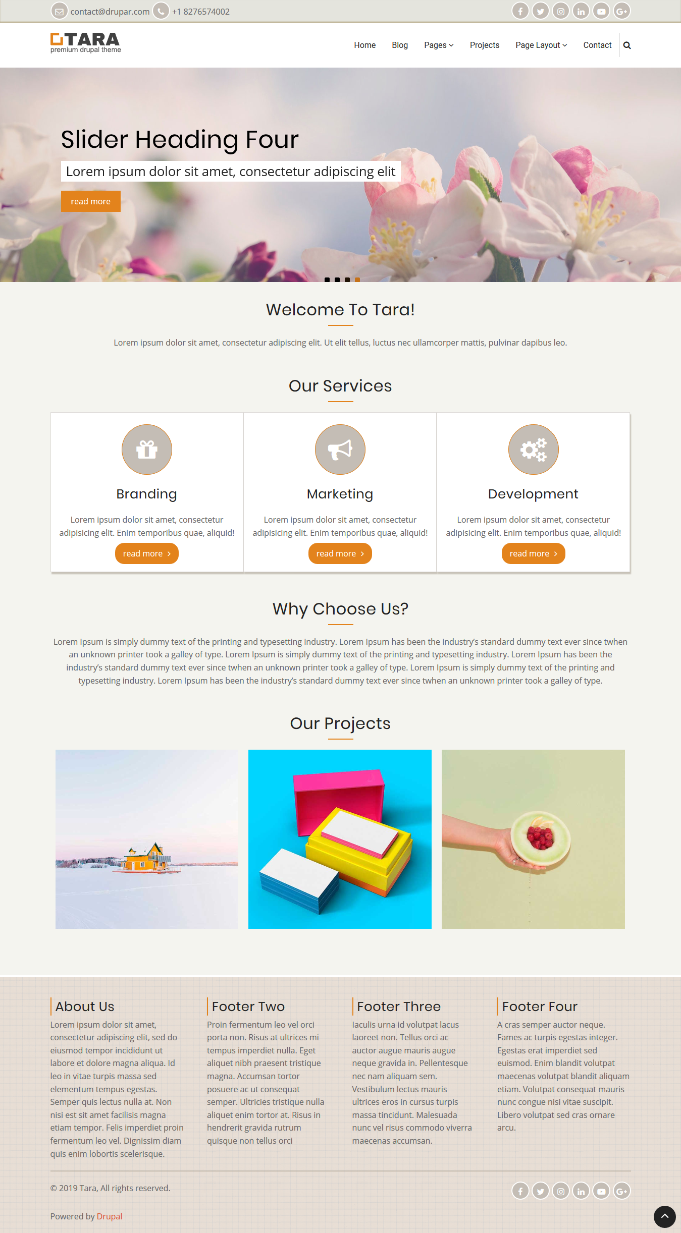 Tara - Modern Drupal 8, 9 Theme