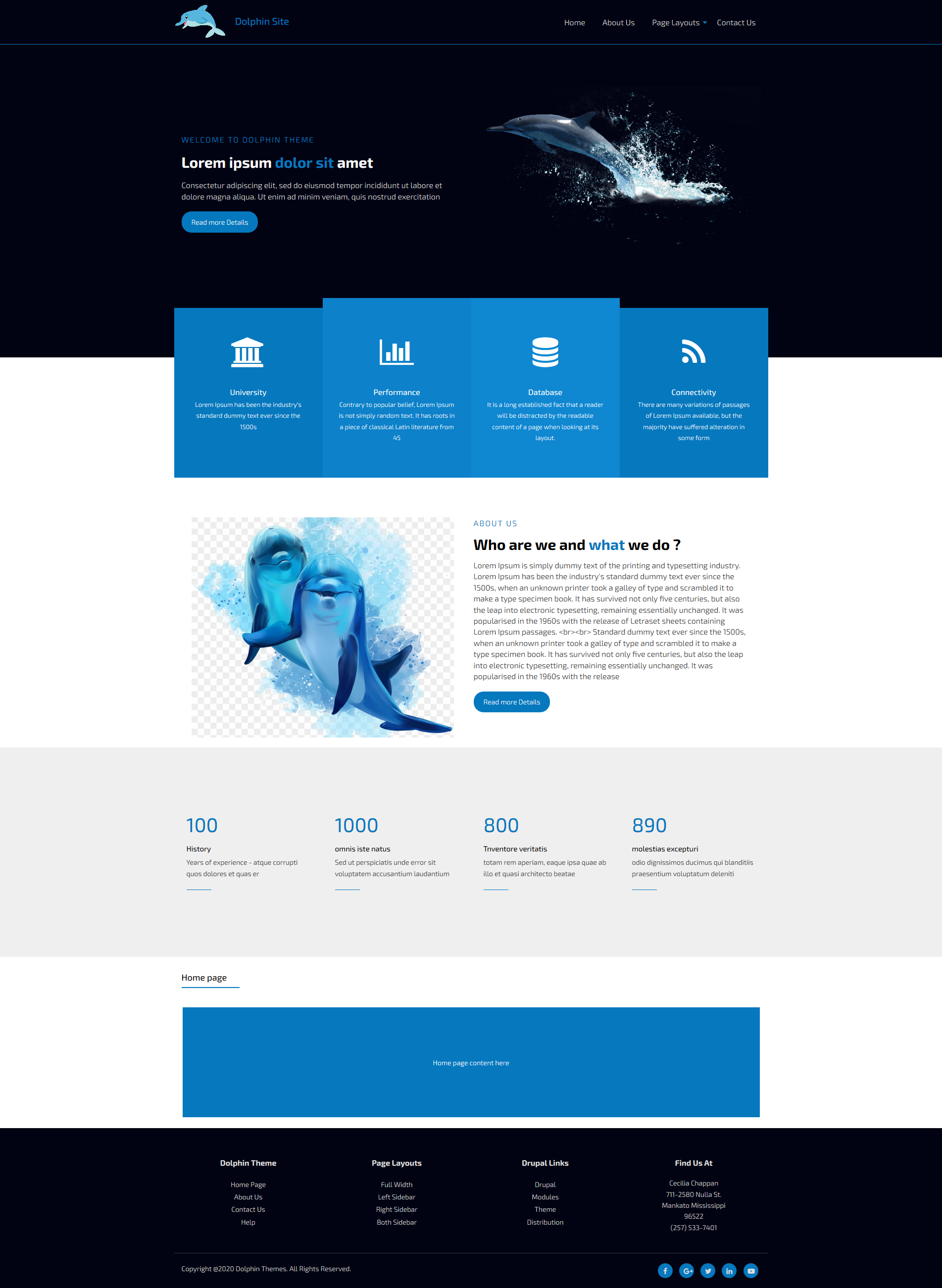 Dolphin Theme
